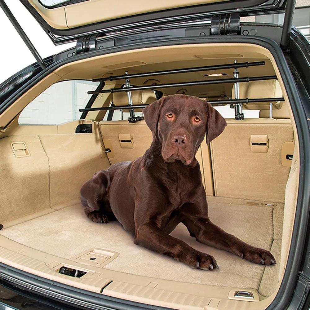 DOG CAR SECURITY