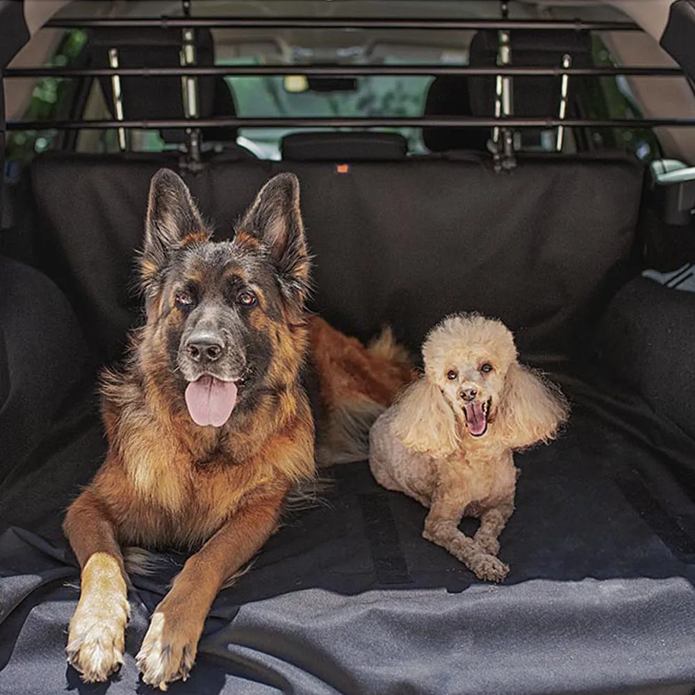 DOG CAR SECURITY