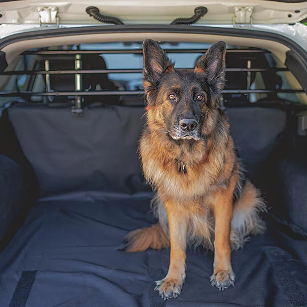 DOG CAR SECURITY