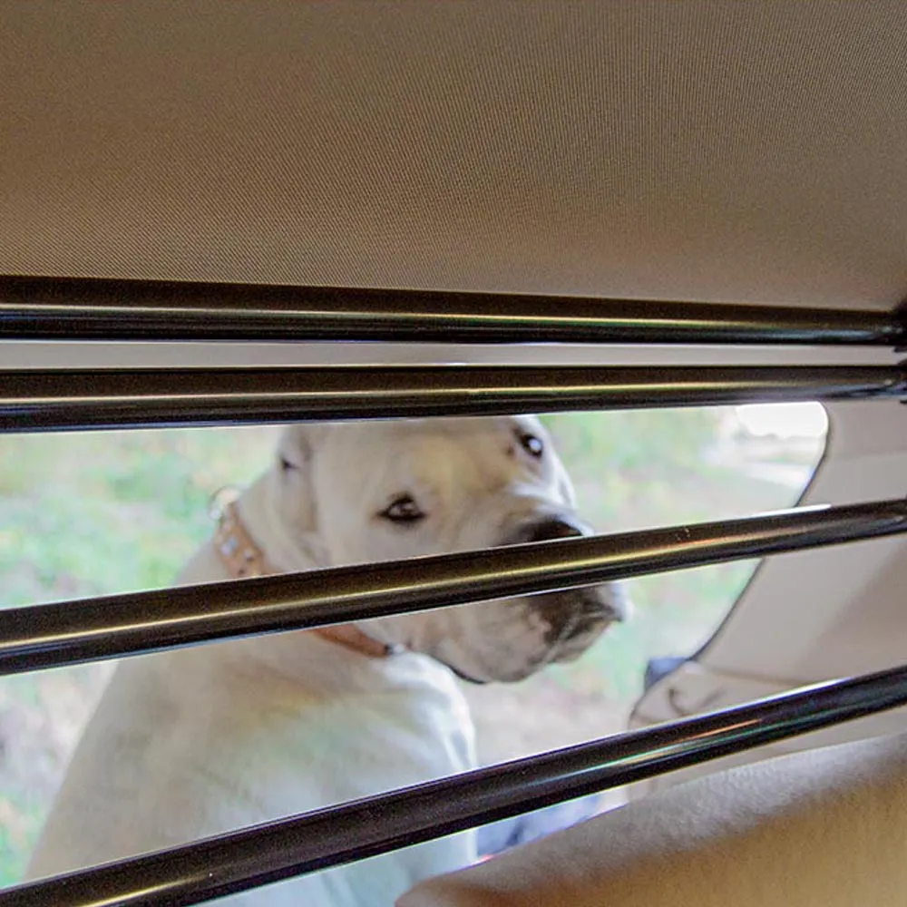 DOG CAR SECURITY