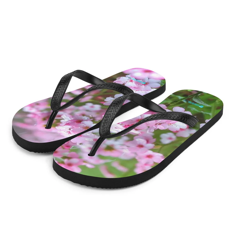 Flip-Flops