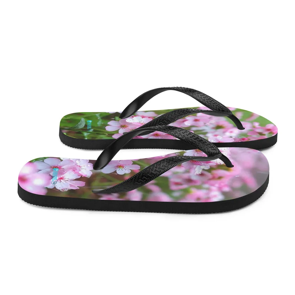 Flip-Flops