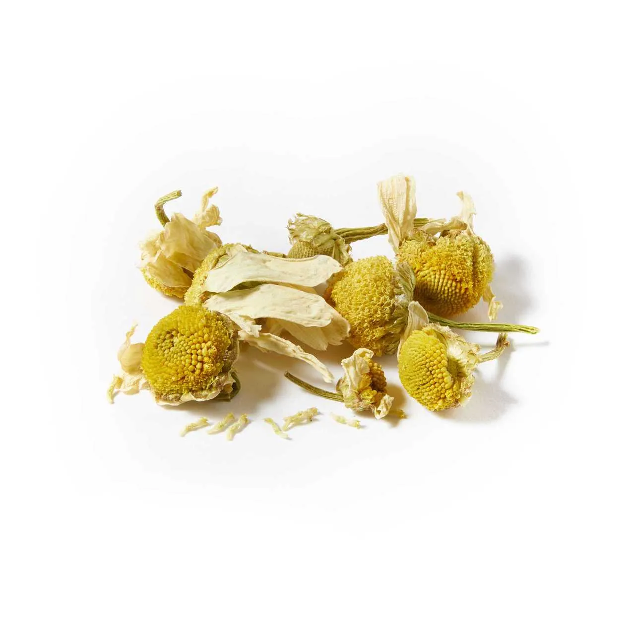 Whole Chamomile Blossoms - Teabags